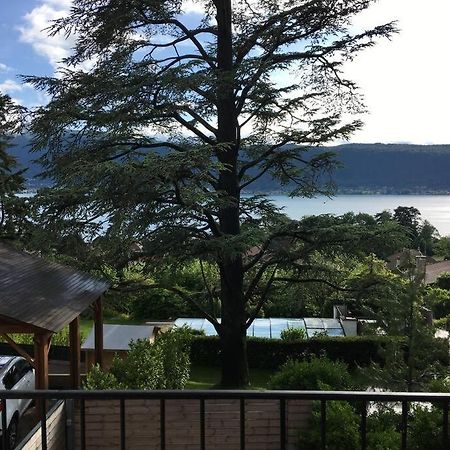 Charmant T2 Vue Lac Veyrier Du Lac / Annecy Buitenkant foto